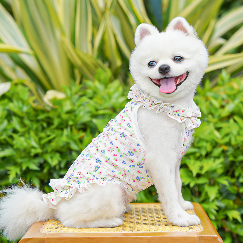 ファッション花柄犬服犬夏服愛プリント犬 Tシャツチワワビショ - Summer Loving Clothing のレビューと価格