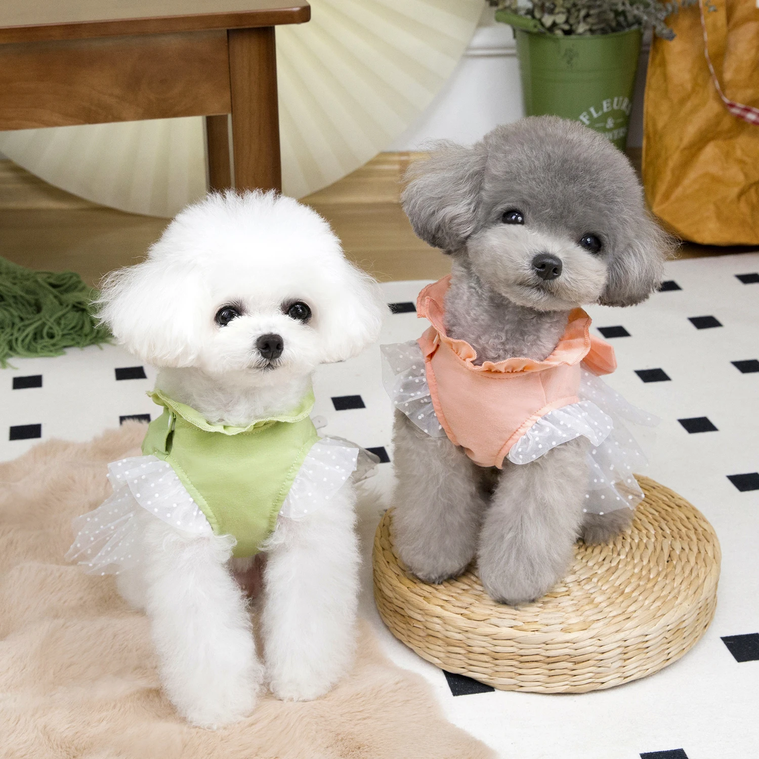 かわいい犬サマードレス猫レーススカートペット服チワワ春子犬猫 - Summer Loving Clothing のレビューと価格